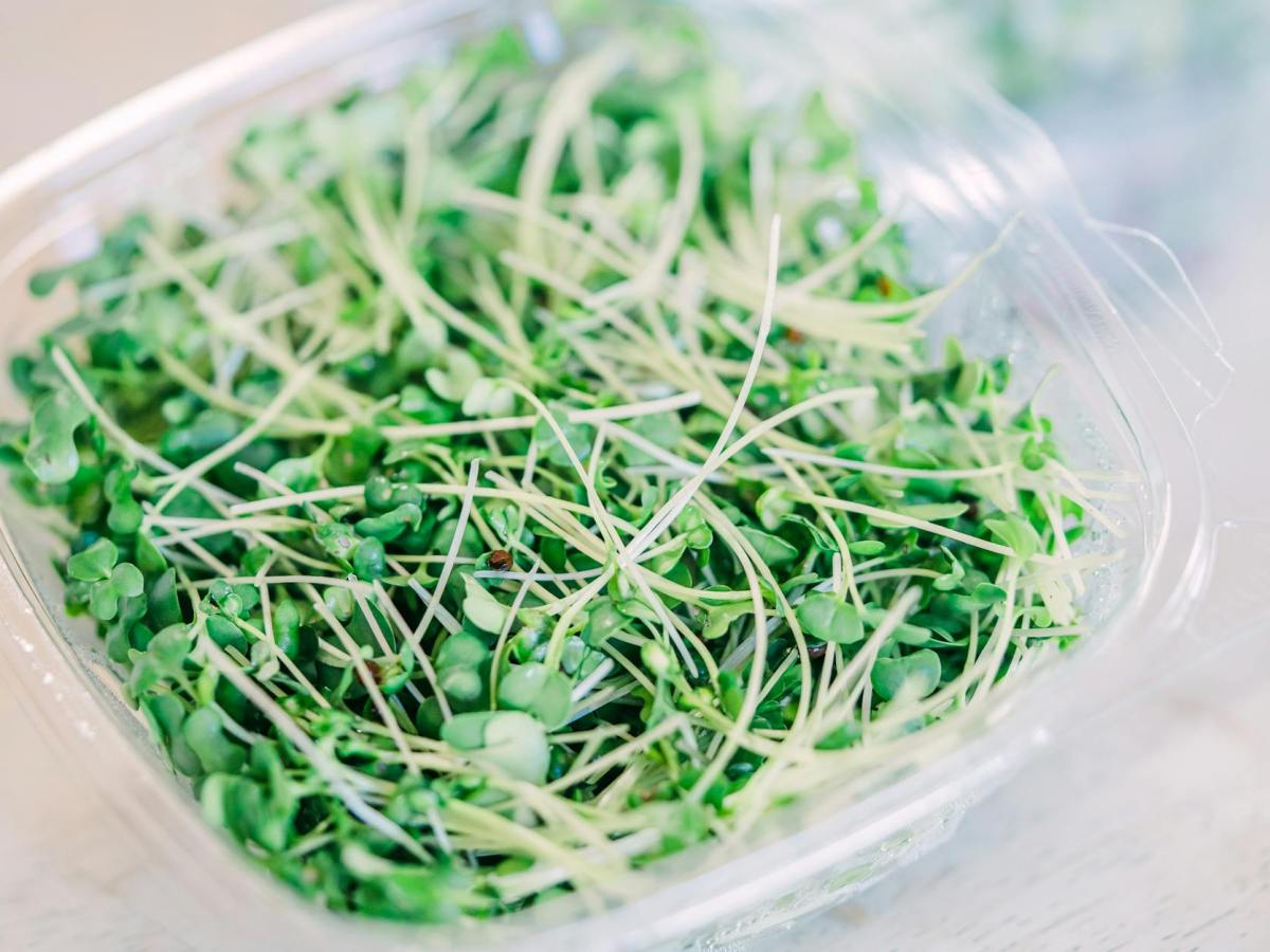 Broccoli Sprouts: Small Greens, Big Detox + Hormone&nbsp;Power